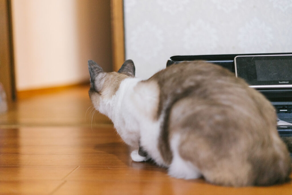 エコフロー　ポータブル電源　評判